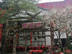 -杭州宋城