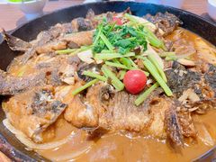 -老板恋上鱼(恒隆广场店)