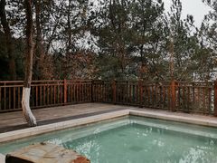 -天目湖涵田半山温泉