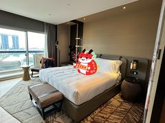 -新加坡瑞士史丹福酒店