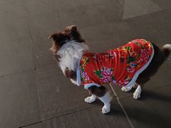 -大悦城(沈阳中街店)