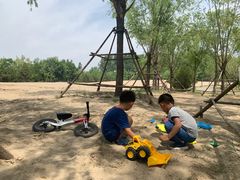 -东郊湿地公园