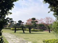 -南宁南湖公园