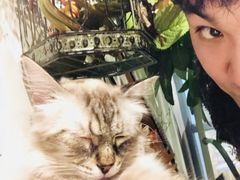 -共舞时光猫咖·狗咖(新街口店)
