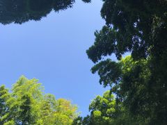 -同里国家湿地公园