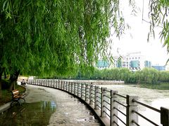 -后襄河公园