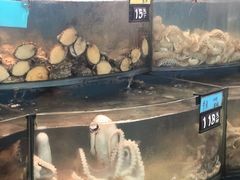 -渔中舟海鲜大排档(普陀沈家门店)