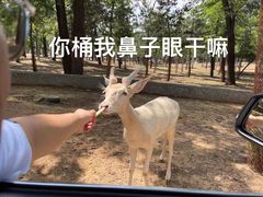 -秦皇岛野生动物园