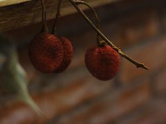 -余味私房菜(正阳小区西5街区店)