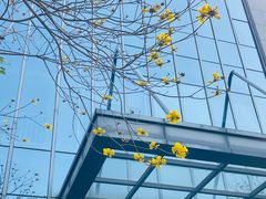 -万达广场(厦门湖里店)