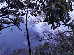 -张家界天门山国家森林公园