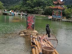 -靖西鹅泉风景区