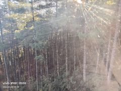 -苍山感通索道
