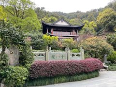 -十八棵（老龙井）御茶园(老龙井店)
