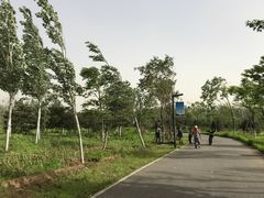 -东郊湿地公园