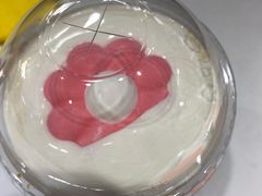 -CoCo都可(砂之船奥莱店)