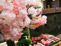 极上樱舞拼盘-樱宿日式和牛烧肉(五道口店)