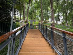 -马王堆汉墓遗址