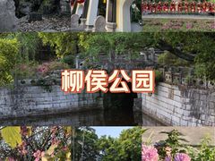 -柳侯公园