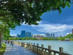 -顺峰山公园