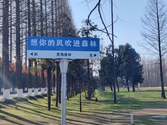 -黄海国家森林公园