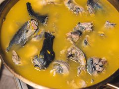 -Darling Queen·Mini·Live·House