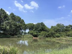 -宝业会稽山高尔夫俱乐部