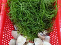 海草-都斛海鲜街