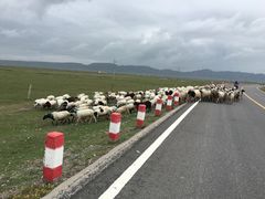 -青海湖国家重点风景名胜区