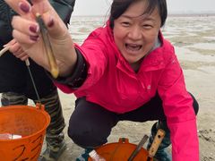 -北海金海湾红树林生态旅游区