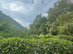 -黔灵山公园