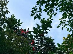 -广州神农草堂中医药博物馆