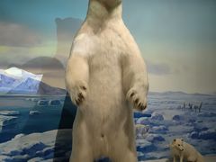 -陕西自然博物馆