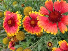 -黄河三峡风景名胜区