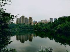 -重庆彩云湖湿地公园