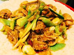 爆辣雞肉-宁夏国强手抓羊肉·清真菜(未央路凤三店)