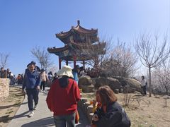 -白水寺森林公园