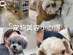 -美联众合动物医院·24h转诊中心