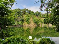 -王借岗森林公园