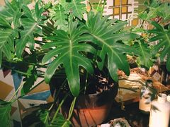 -时光花园(白鹭洲店)