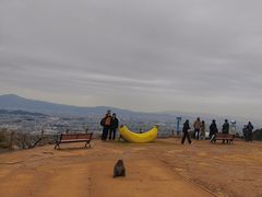 -岚山猴子公园