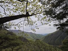 -五女峰国家森林公园