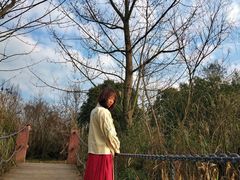 -桤木河湿地公园