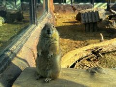 -大连森林动物园