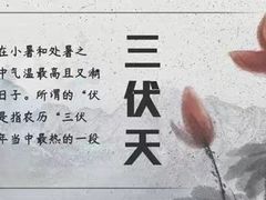 -裕和堂中医推拿艾灸(太古汇臻品店)
