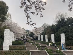 -杭州少年儿童公园