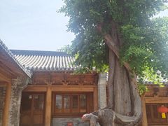 -少林寺欢喜地素斋馆