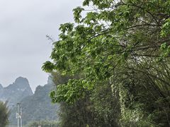 -明仕田园