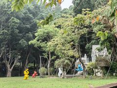 -银湖山郊野公园-相思林