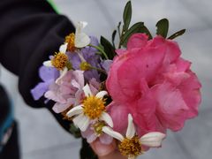 -马峦山郊野公园